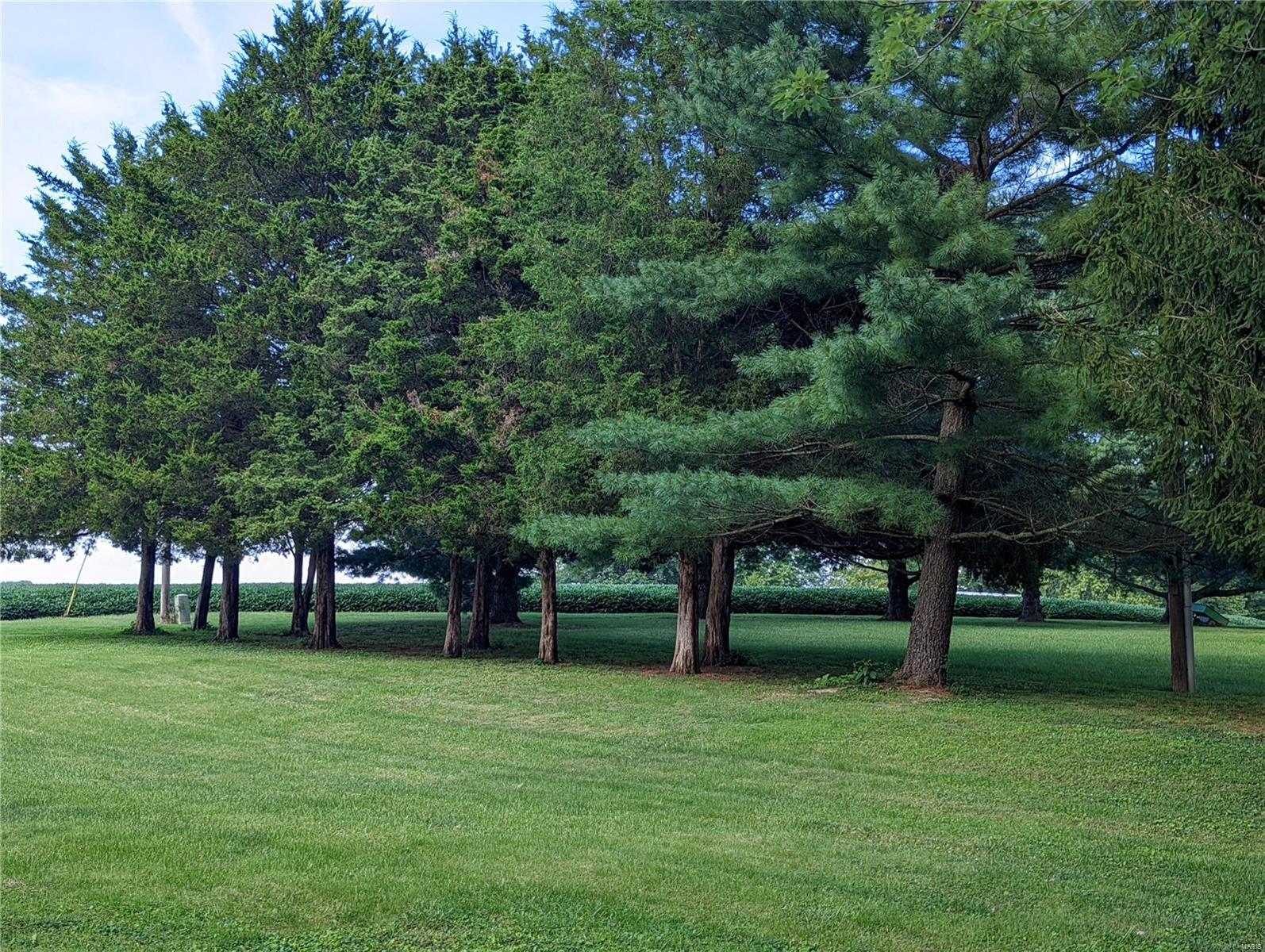 8860 Ridgeview Drive Sparta, IL 62286 - Photo 4 of 61