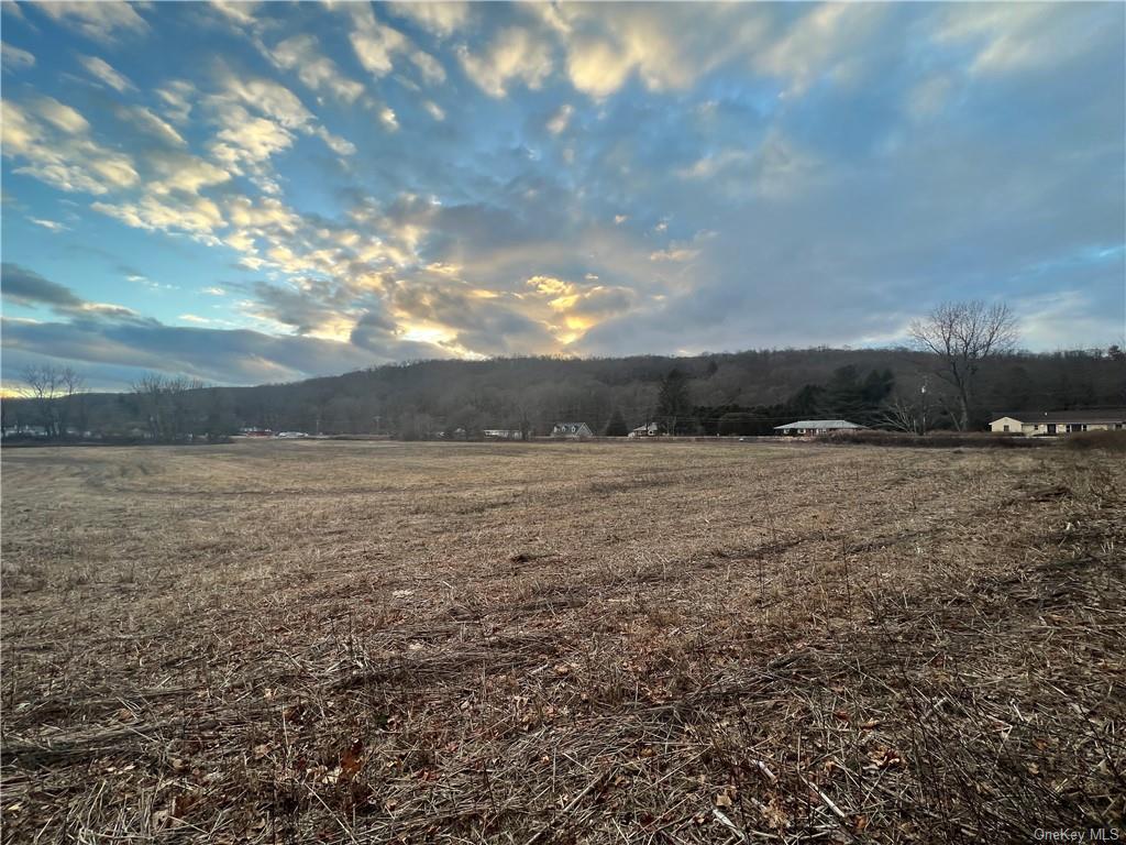 Lot 4 Route 22 Dover Plains, NY 12522 - Photo 5 of 11 a view of outdoor space and yard