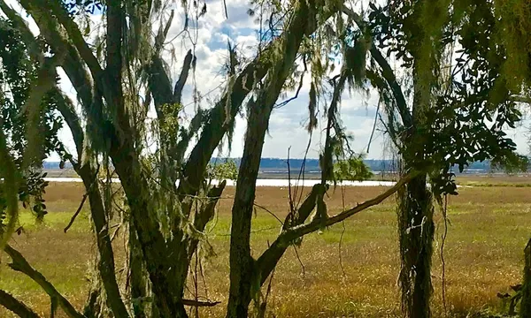 $91,900 | Lot 3 Fort King George Darien Ga 31305, Darien, GA 31305