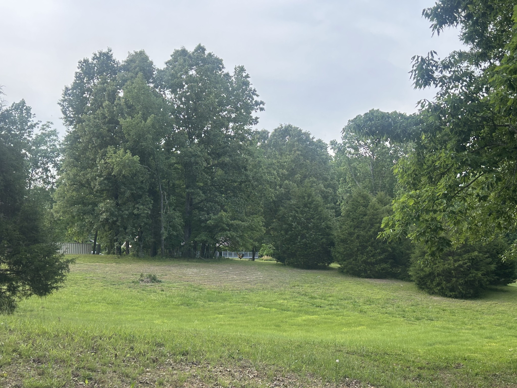 2162 Bethany Road Erin, TN 37061 - Photo 22 of 22
