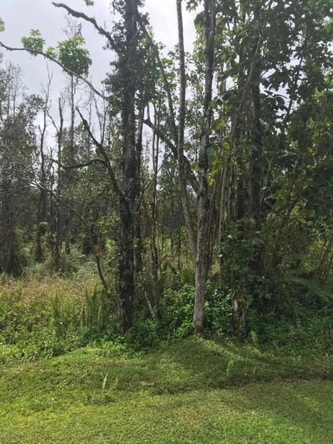 192 Niihau Road Pahoa, HI 96778 - Photo 2 of 4 Gallery Image 2