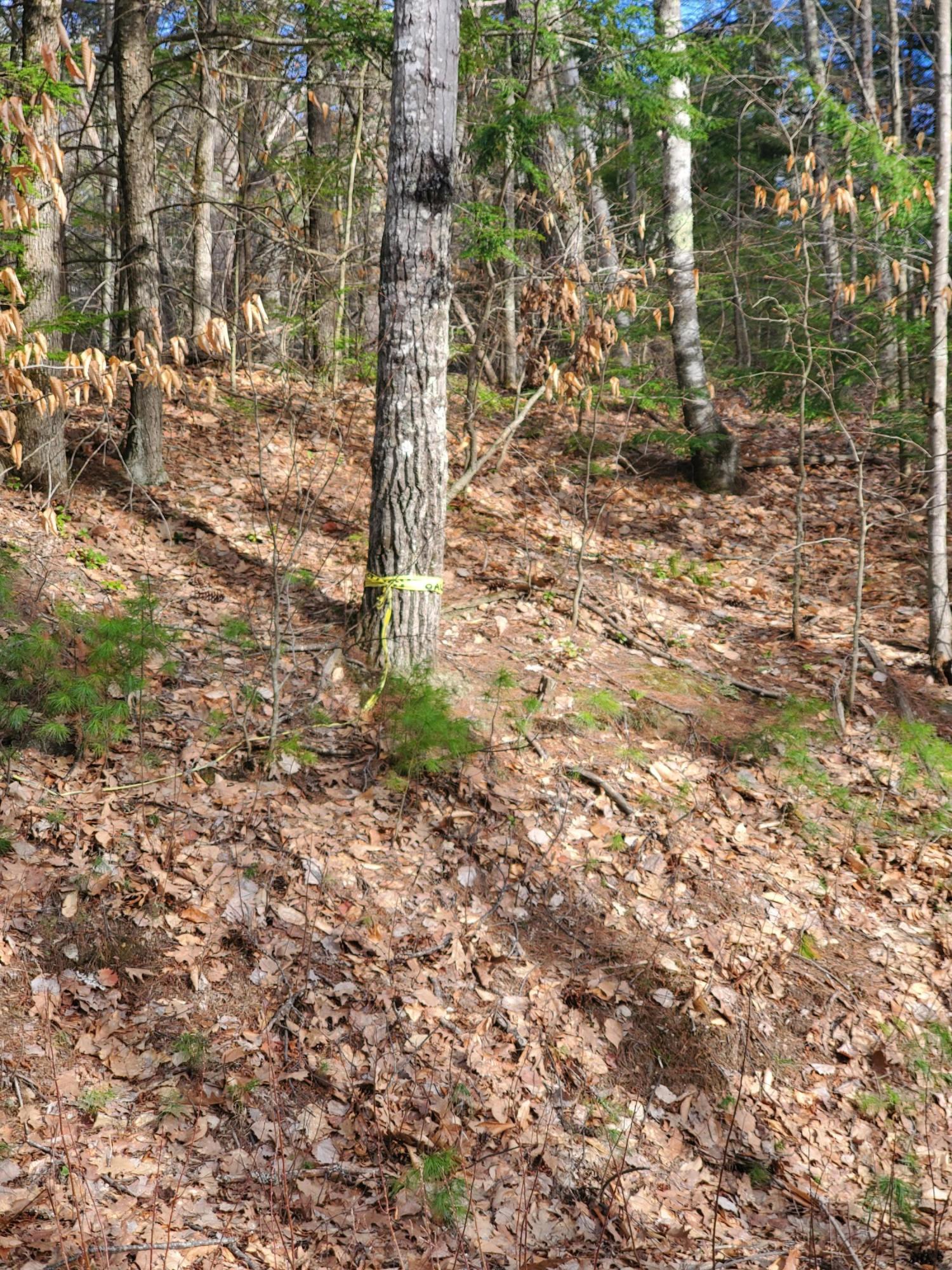 6 Lost Mile Road Parsonsfield, ME 04047 - Photo 3 of 3 20210406_170148