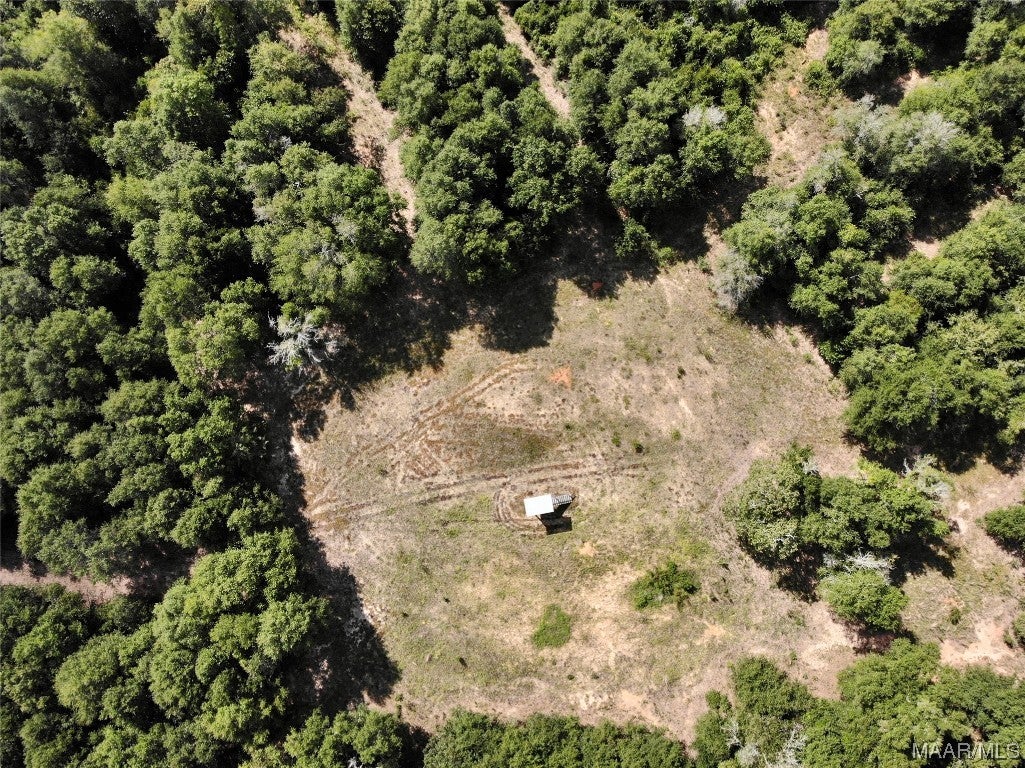 318.5-acre Goose Hollow Road Geneva, AL 36340 - Photo 33 of 50 Gallery Image 33