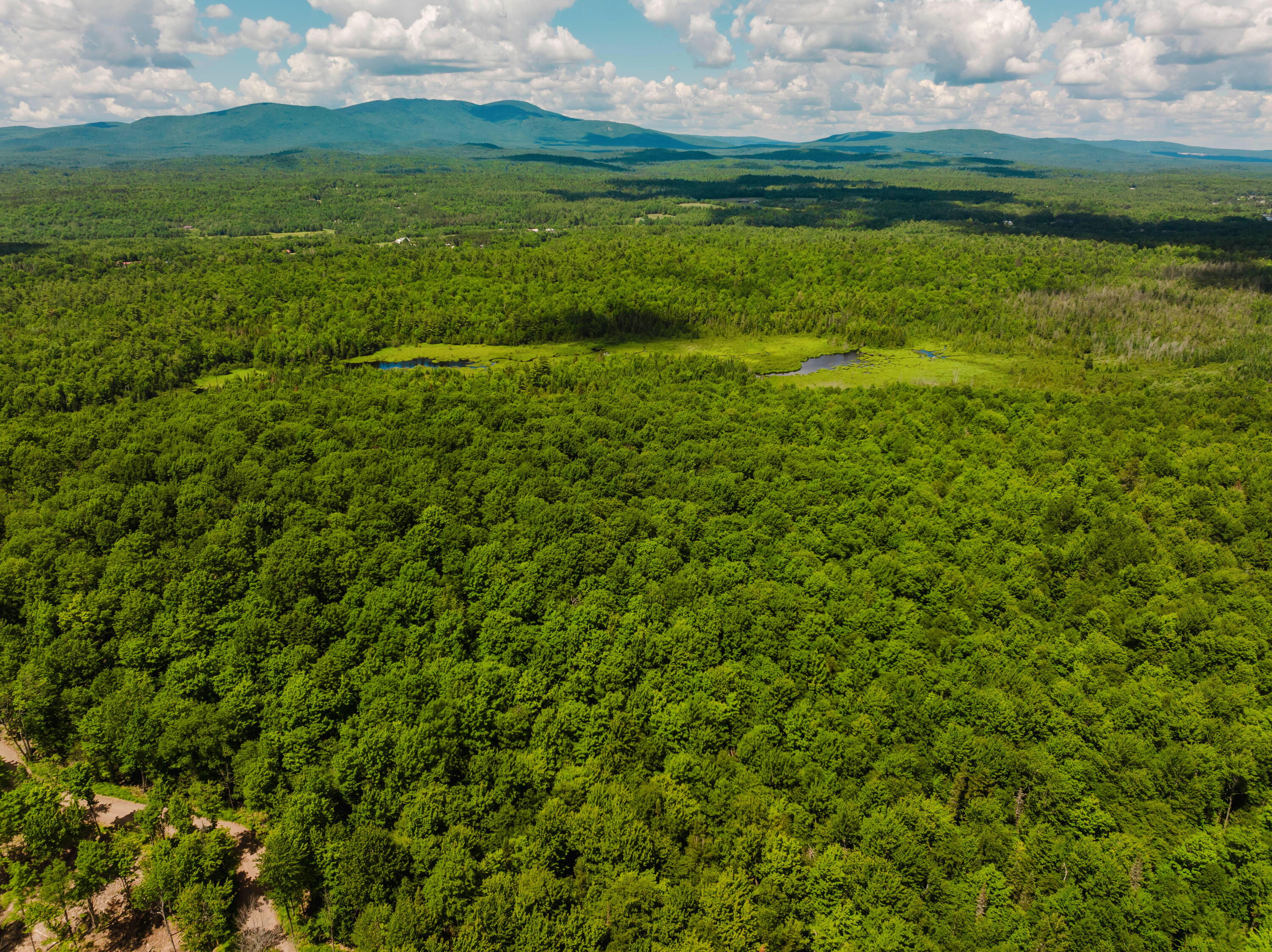 733 Ore Bed Road Black Brook, NY 12912 - Photo 23 of 38