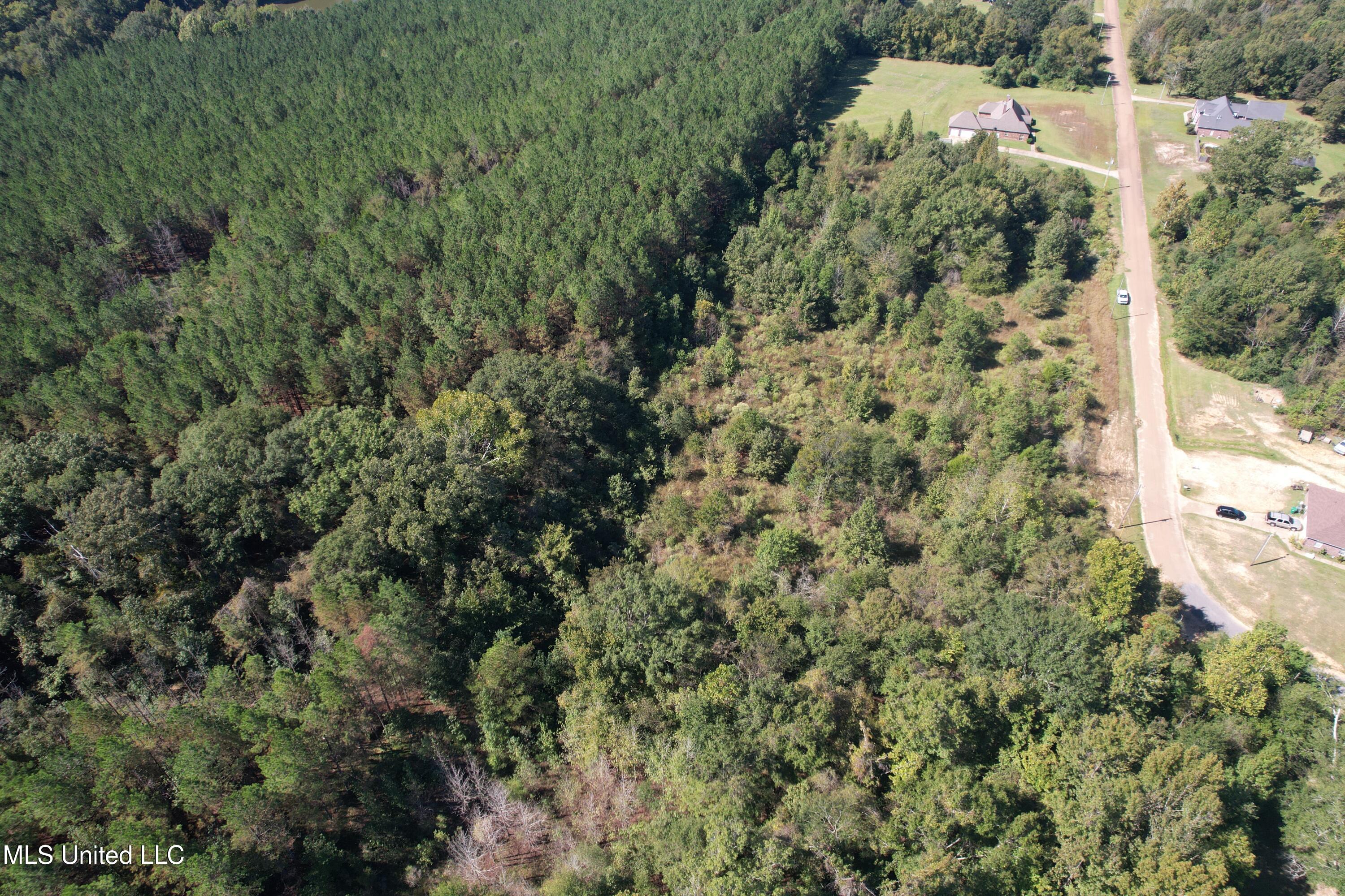 Dresden Place Raymond, MS 39154 - Photo 3 of 9 DJI_0386