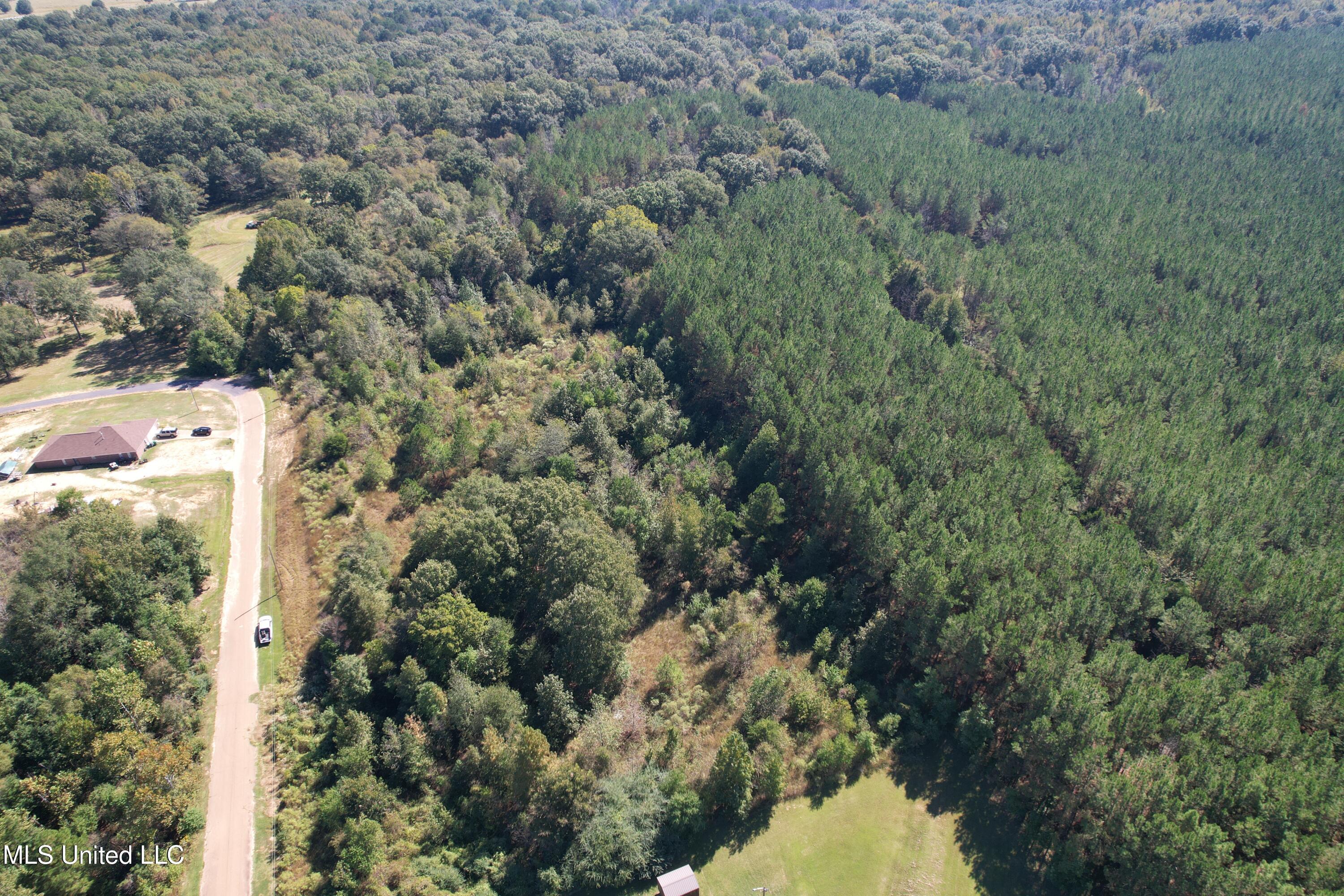 Dresden Place Raymond, MS 39154 - Photo 6 of 9 DJI_0389