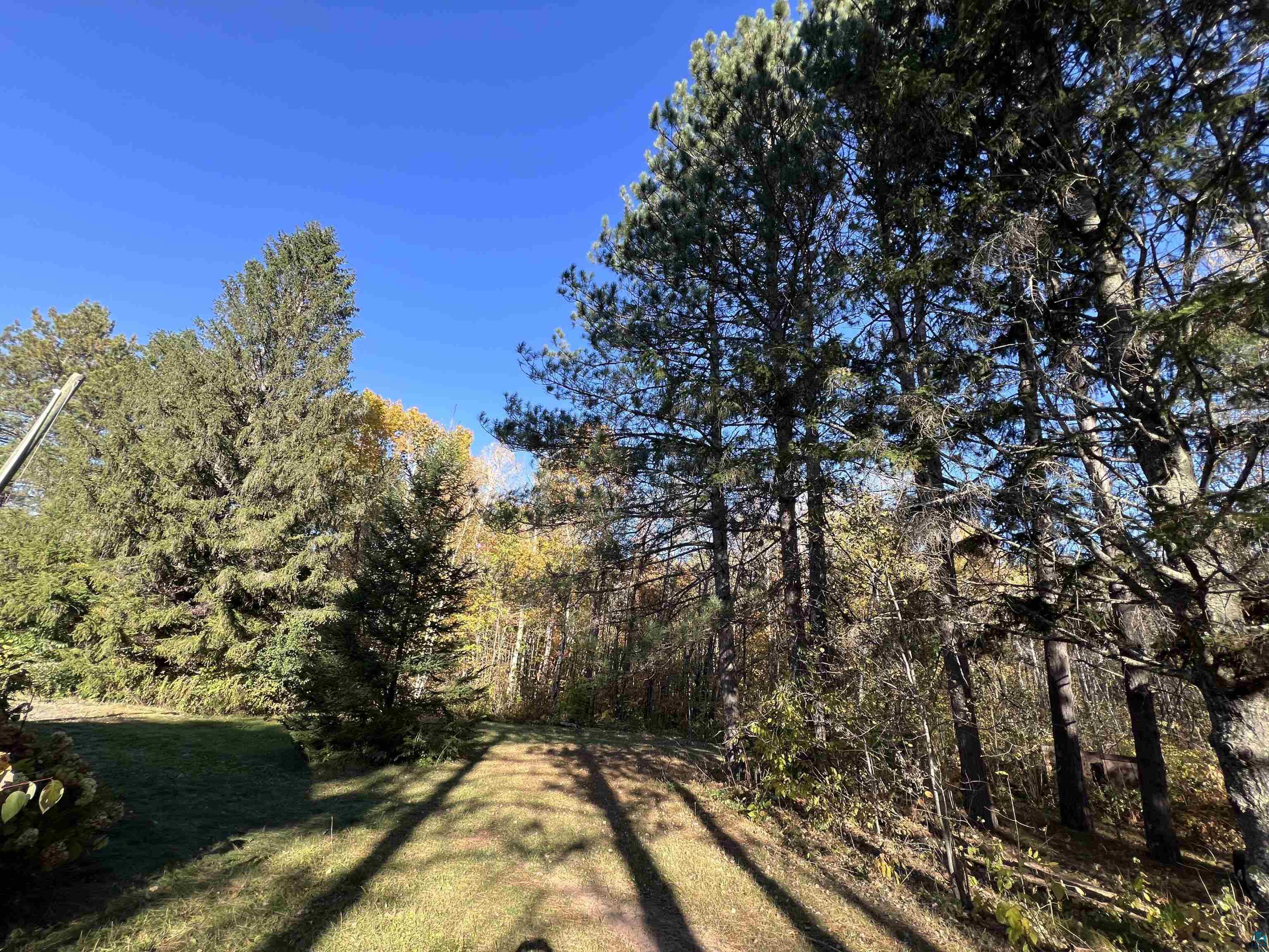 9278 Stone Chimney Road Solon Springs, WI 54873 - Photo 25 of 29 View of yard