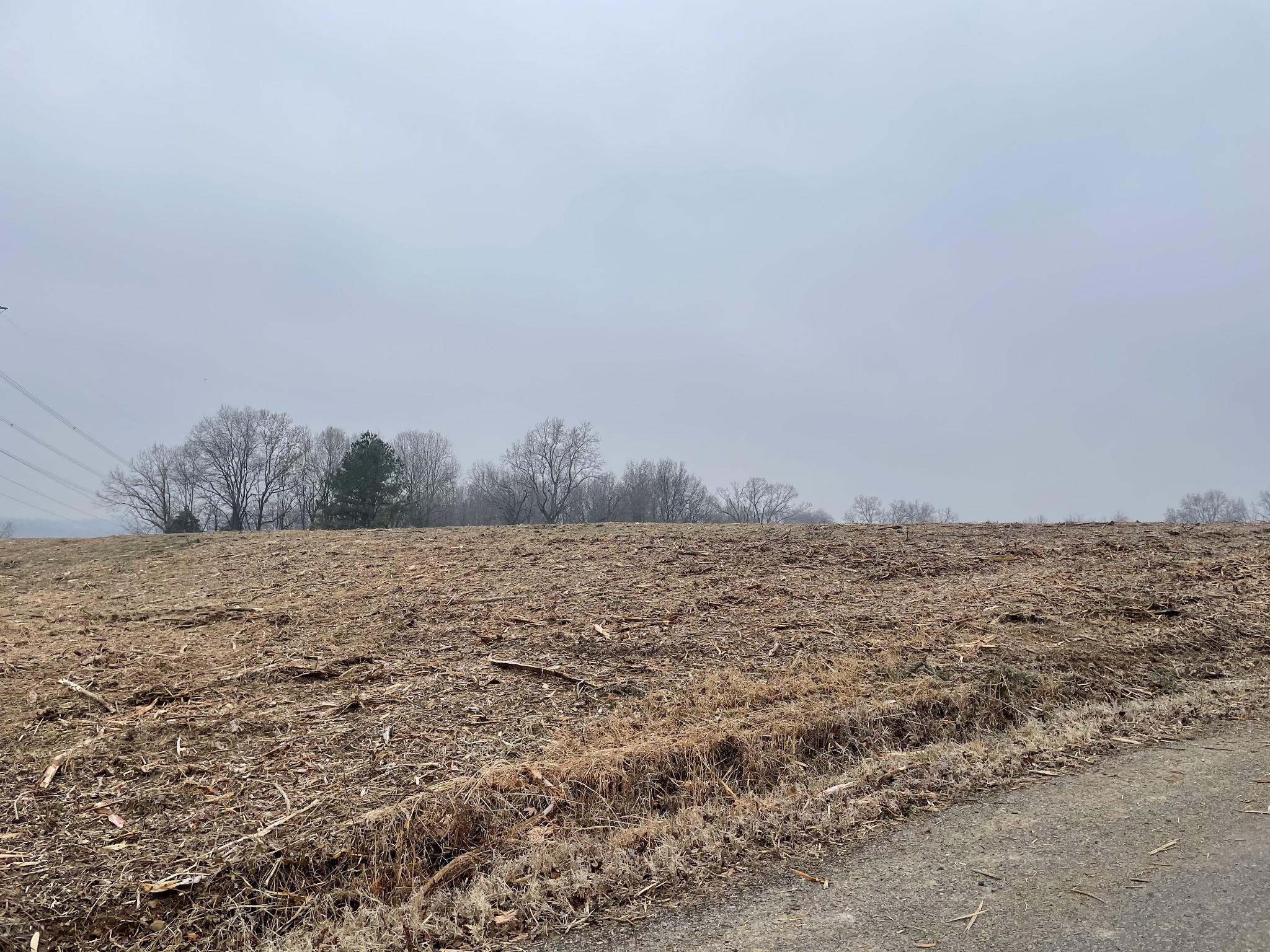 3762 Black Road Springfield, TN 37172 - Photo 10 of 10