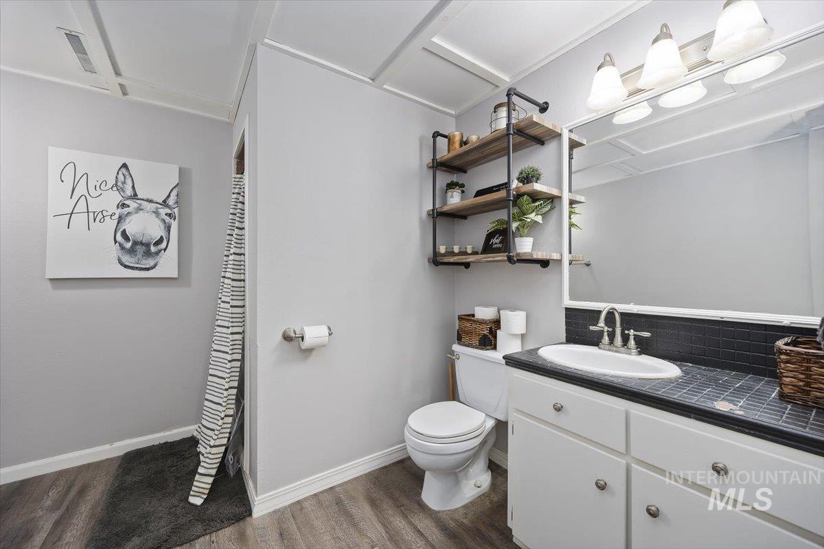 899 East 500th Street South Declo, ID 83323 - Photo 35 of 50 Bathroom featuring vanity, dark wood-style floors, and a shower with shower curtain
