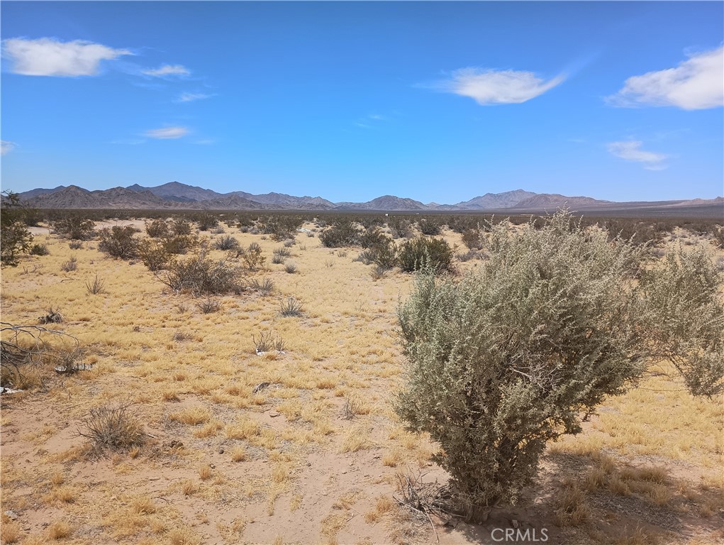 5 North Side Road Lucerne Valley, CA 92356 - Photo 5 of 7
