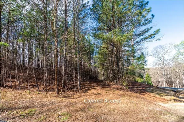 $155,000 | 14 Hawks Branch Lane, White, GA 30184