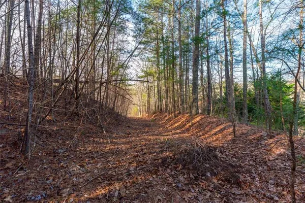 $155,000 | 14 Hawks Branch Lane, White, GA 30184