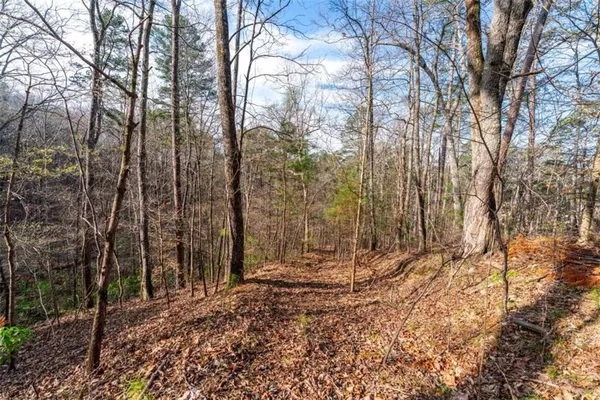 $155,000 | 14 Hawks Branch Lane, White, GA 30184