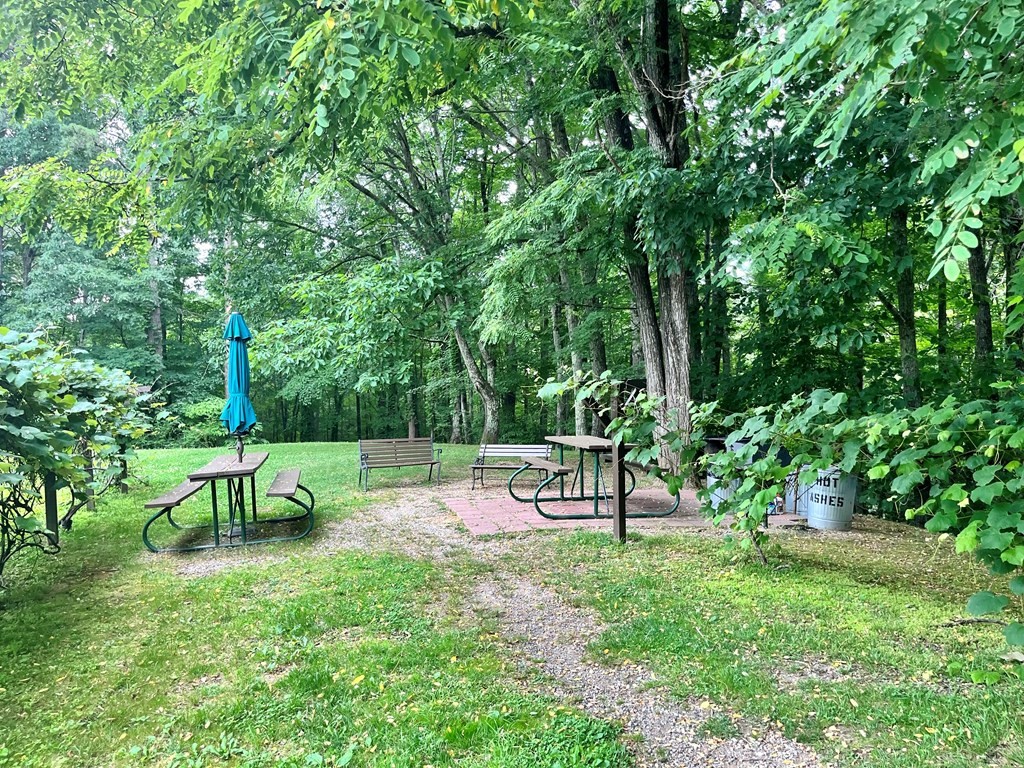 1081 Cove Road, Unit U1023 Sevierville, TN 37876 - Photo 19 of 20