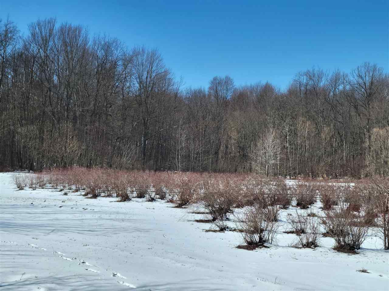 Lot B54 Co Road Covert, MI 49043 - Photo 22 of 28