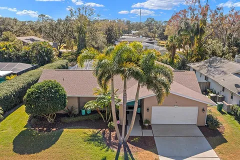 a view of a yard with palm trees