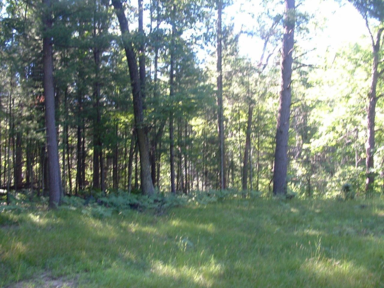 7887 West Peterson Road Irons, MI 49644 - Photo 14 of 14 DSCF0014