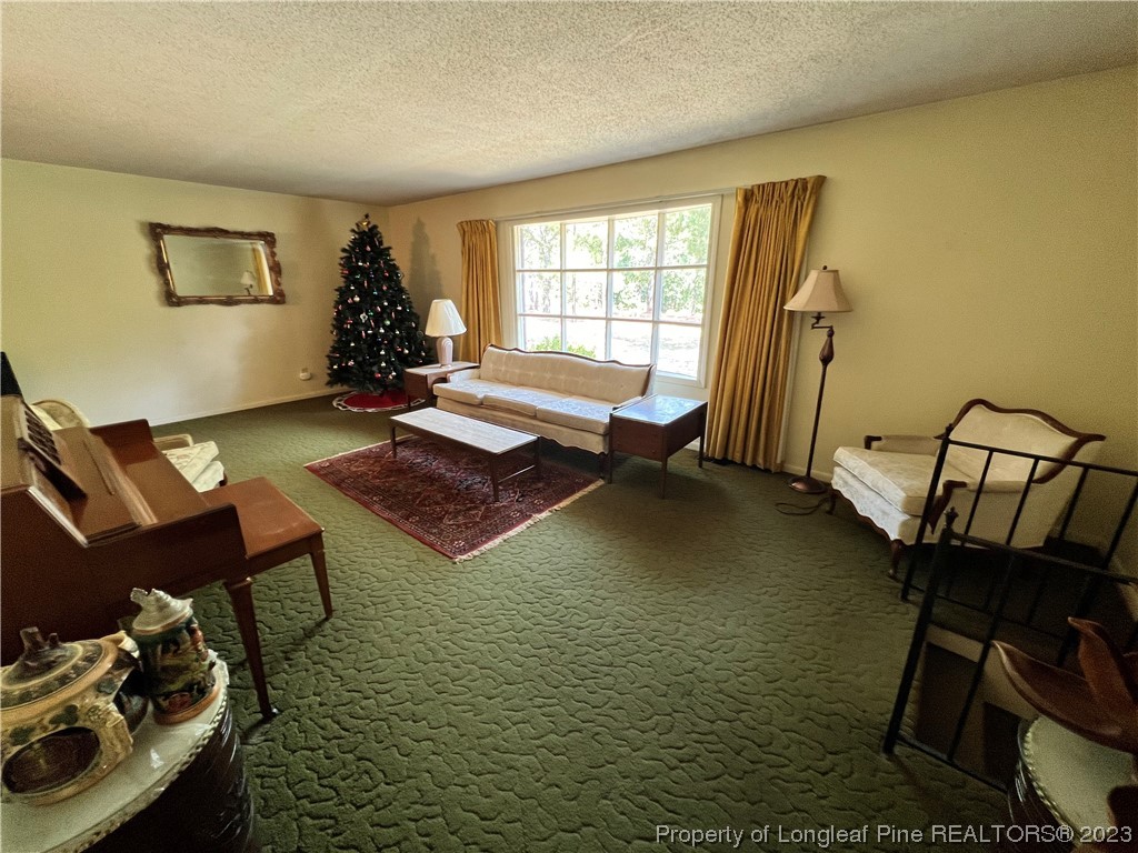 340 Mumford Road Raeford, NC 28376 - Photo 14 of 36 Gallery Image 14