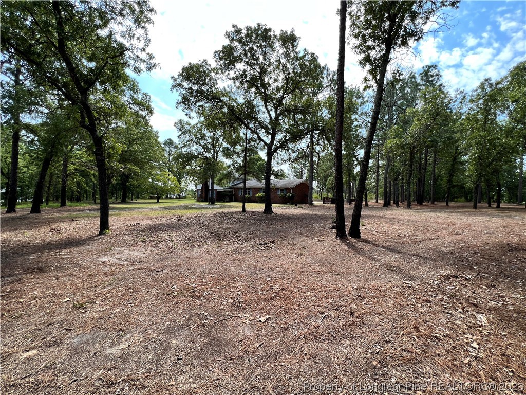 340 Mumford Road Raeford, NC 28376 - Photo 5 of 36 Gallery Image 5