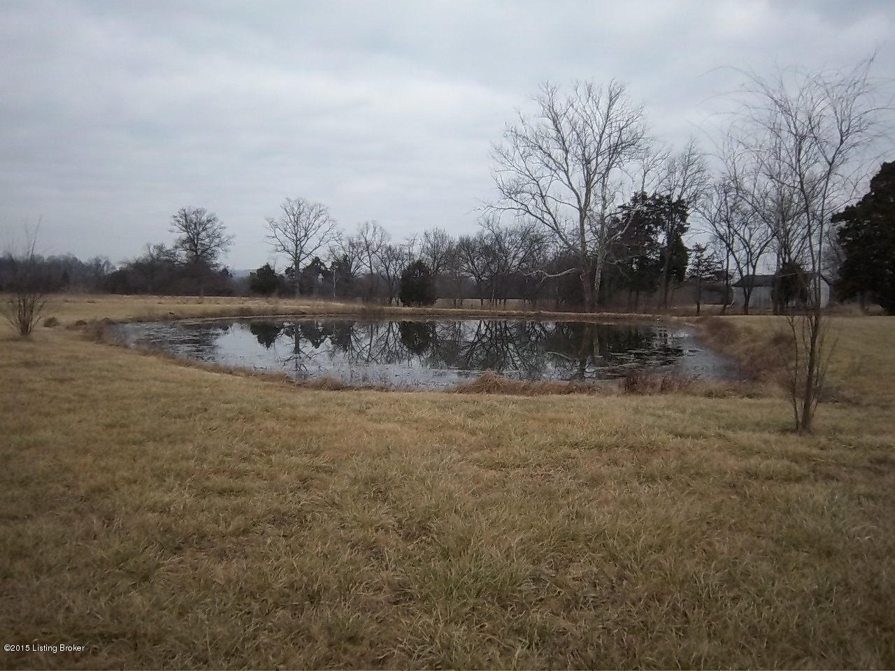 551 Shady Lane Boston, KY 40107 - Photo 24 of 26 shady lane pond