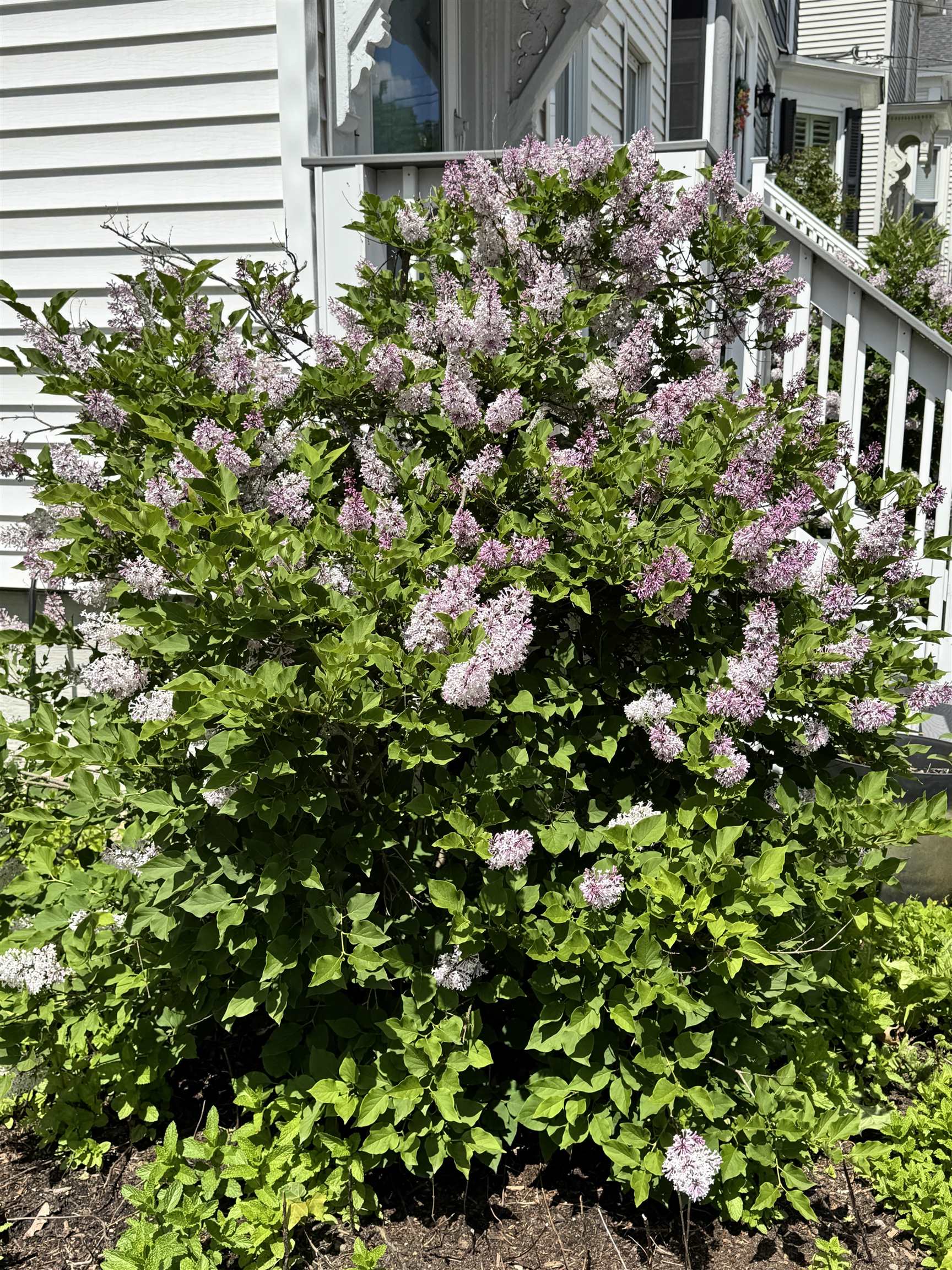 90 Centre Street Concord, NH 03301 - Photo 28 of 33