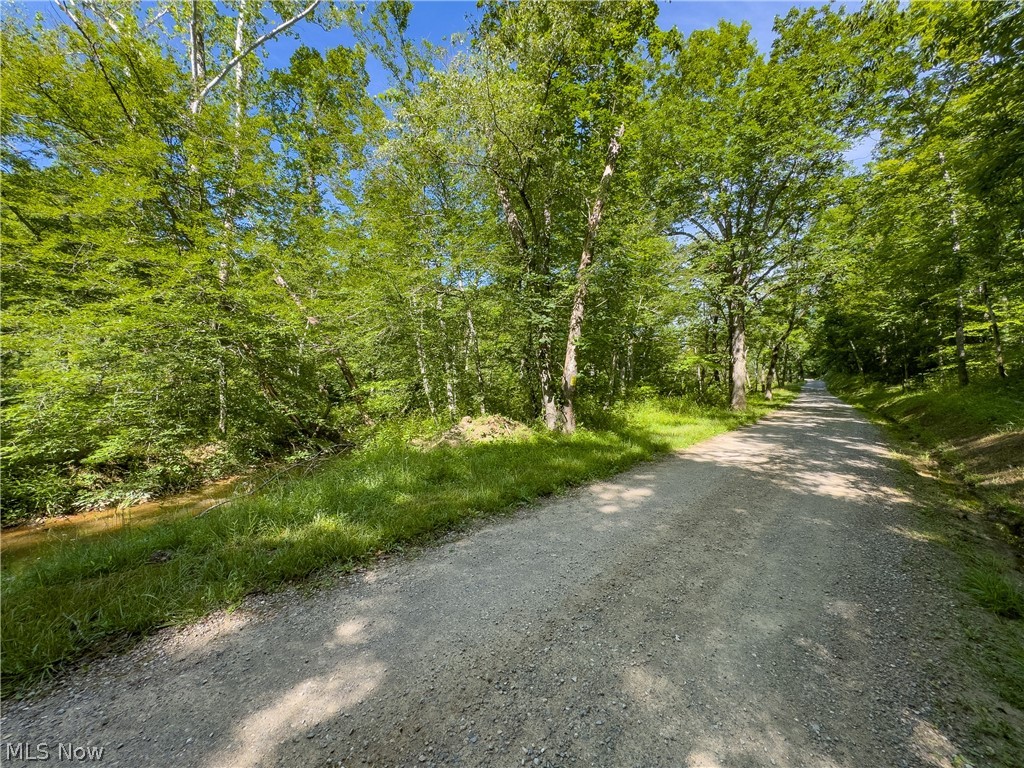 2 Jake Road Patriot, OH 45658 - Photo 3 of 20