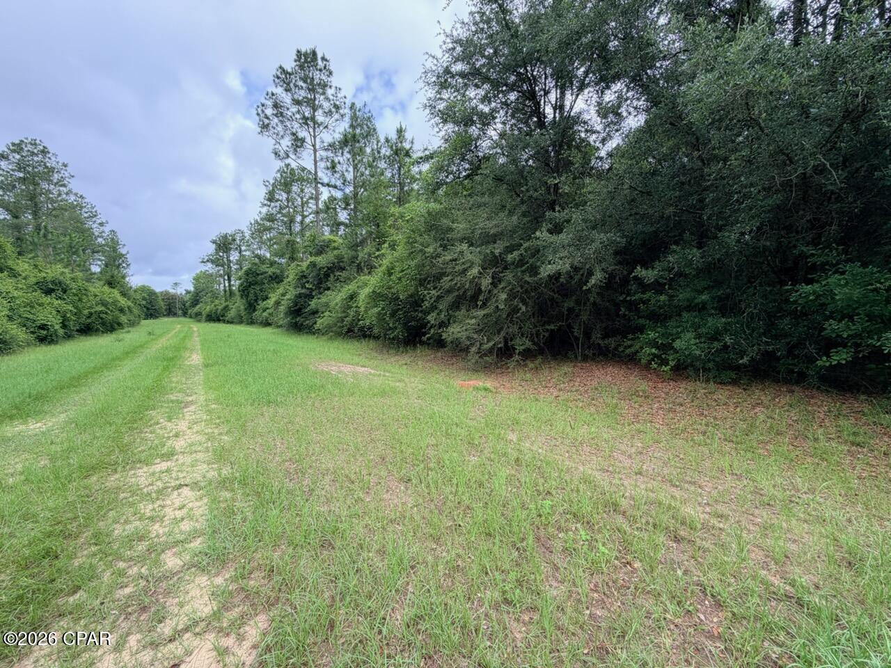 Tbd Sumac Road Westville, FL 32464 - Photo 2 of 10