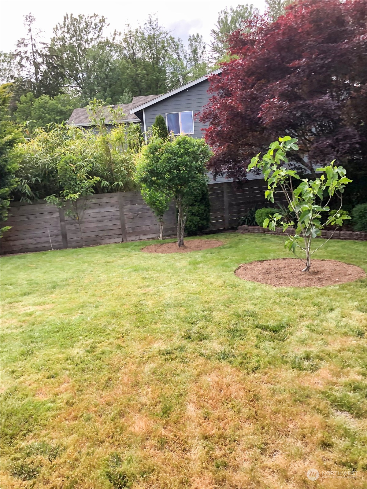 4302 Northeast 6th Place Renton, WA 98059 - Photo 5 of 20 a backyard of a house with lots of green space