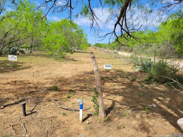 a plant that is in front of a building
