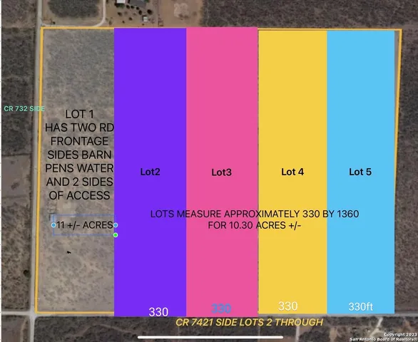 a view of a field with plants and trees