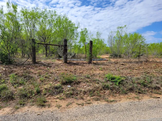 a view of a dry yard with trees