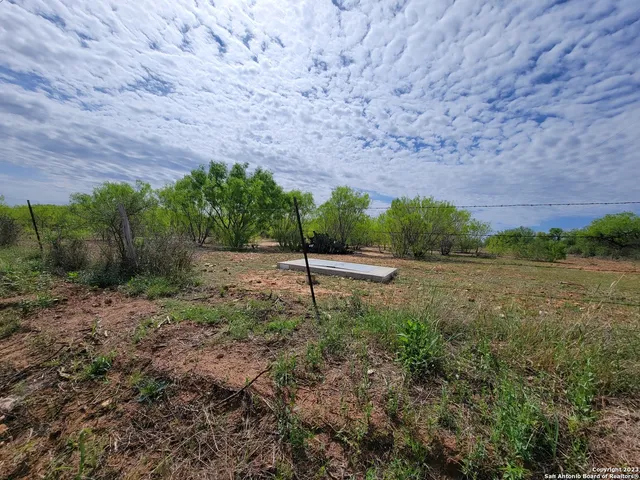 a view of a yard with plants and trees