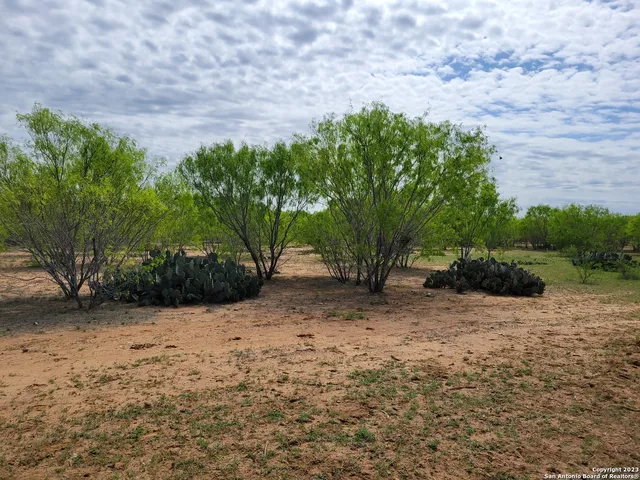 a view of a road with a yard