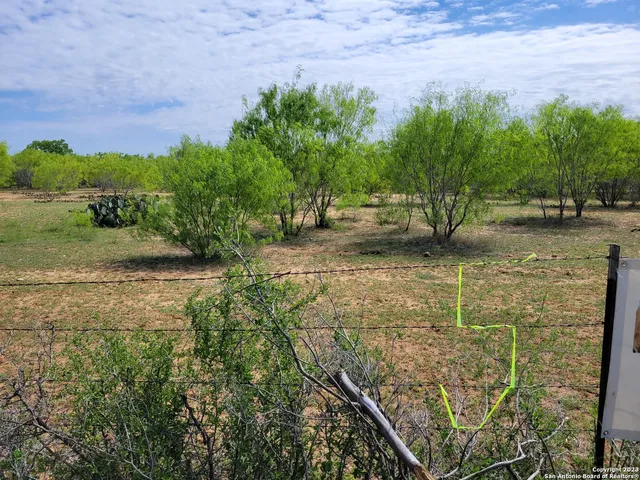 a view of a yard with a tree