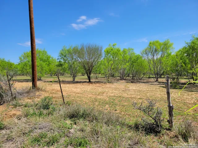 a view of a yard with an trees