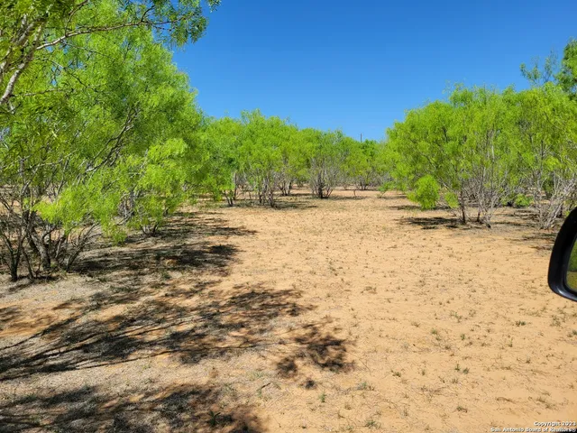 a view of a field with an trees
