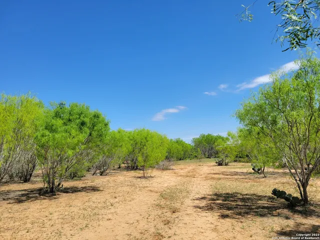 a view of a yard with a tree