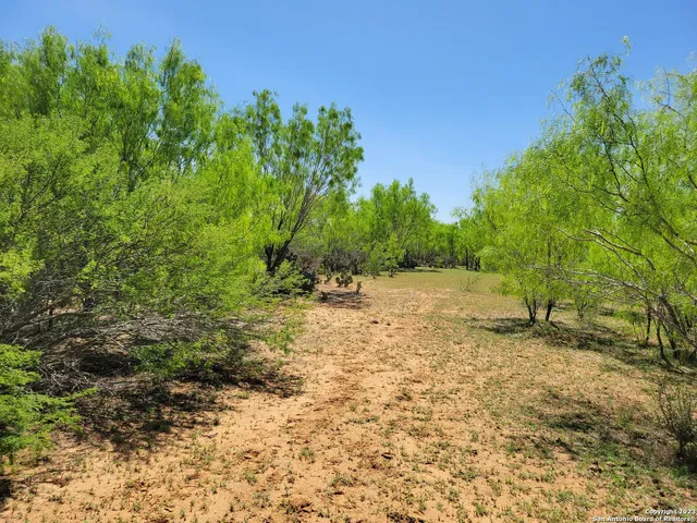 $250,000 | Lot 1 Cr 7421, Yancey, TX 78886
