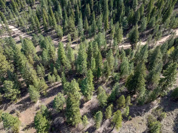 $225,000 | Lot 12 Star Creek, Idaho City, ID 83631