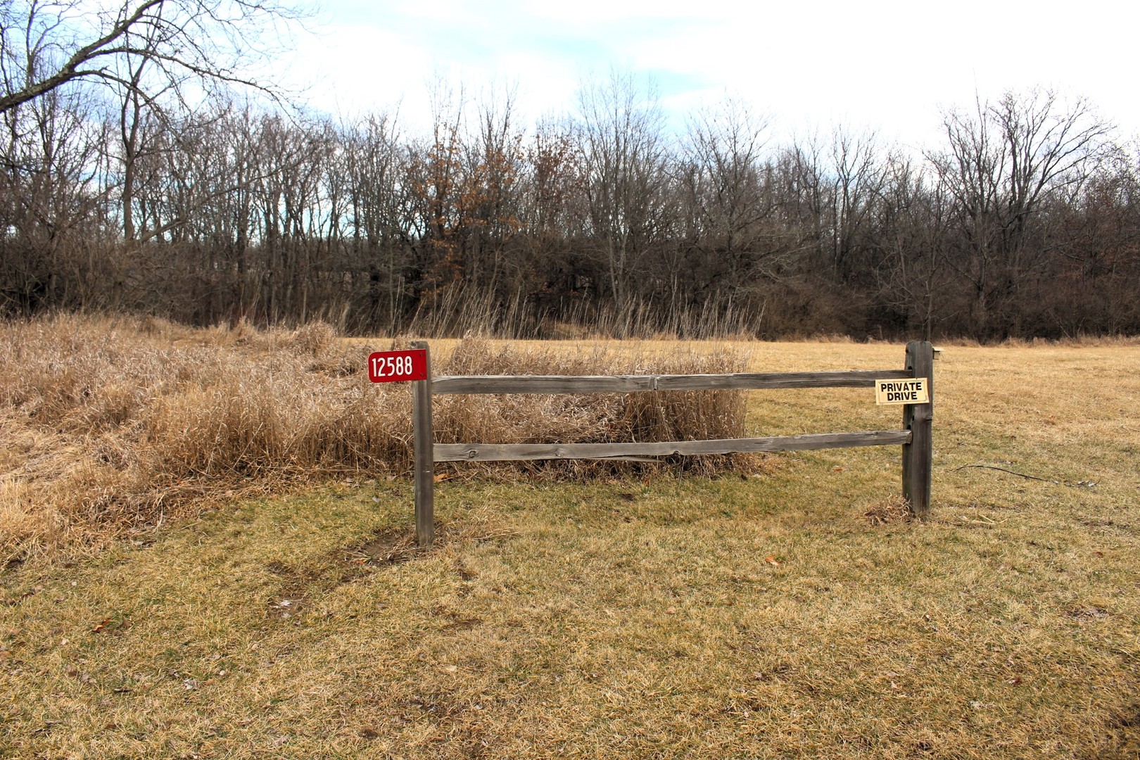 12588 Solomon Road Dewitt, IL 61735 - Photo 3 of 16 a view of outdoor space with trees