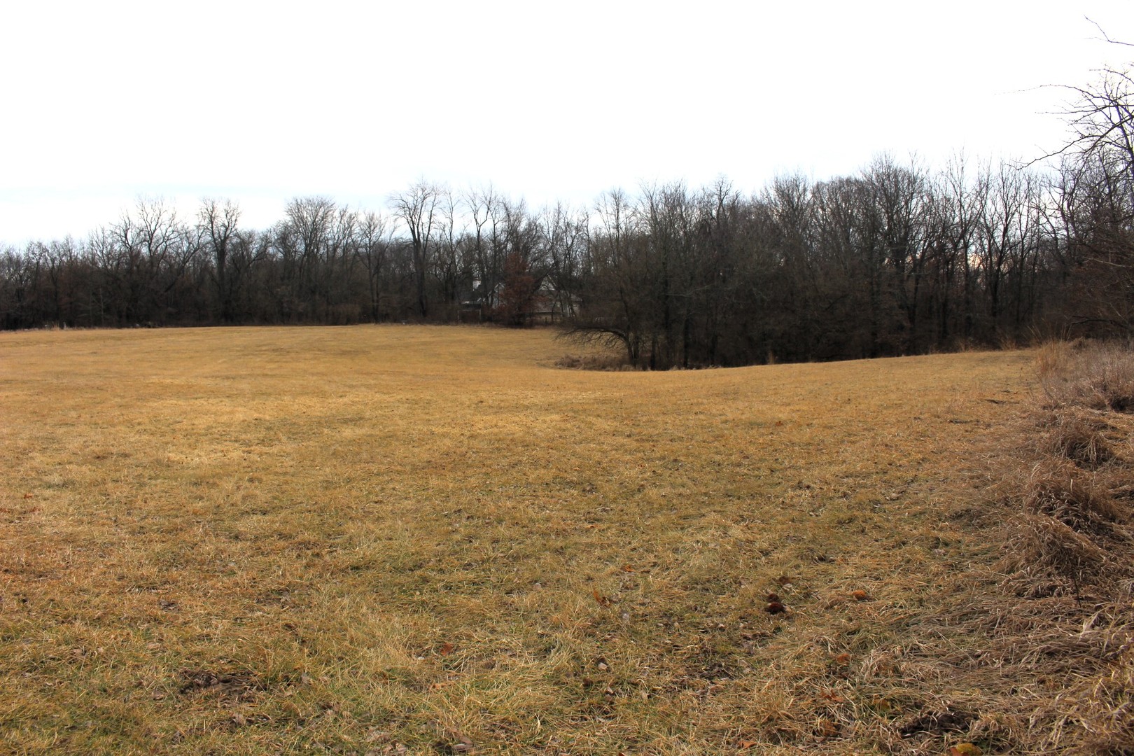 12588 Solomon Road Dewitt, IL 61735 - Photo 6 of 16 a view of an outdoor space and a yard