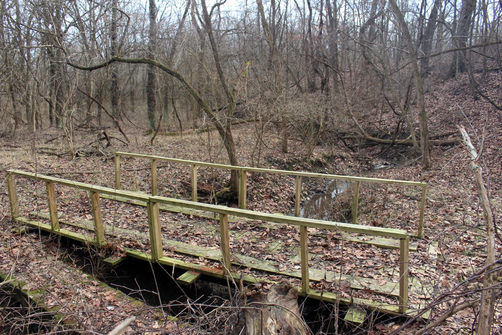 12588 Solomon Road Dewitt, IL 61735 - Photo 8 of 16 a view of wooden fence with large trees