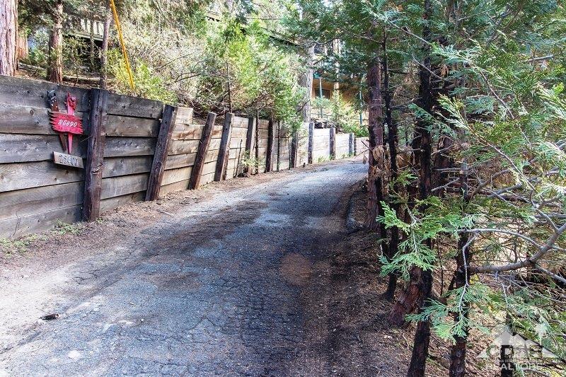 25390 Shadow Oaks Idyllwild, CA 92549 - Photo 37 of 38 a view of a trees with a tree