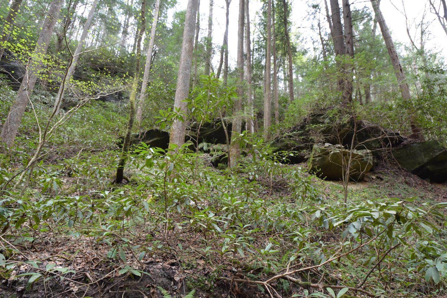 177 Mullins Point Road Campton, KY 41301 - Photo 49 of 85 Photo 49