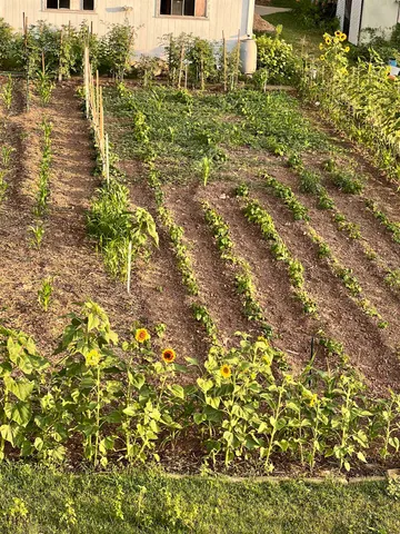 $295,000 | 316 West Maes Avenue, Kimberly, WI 54136