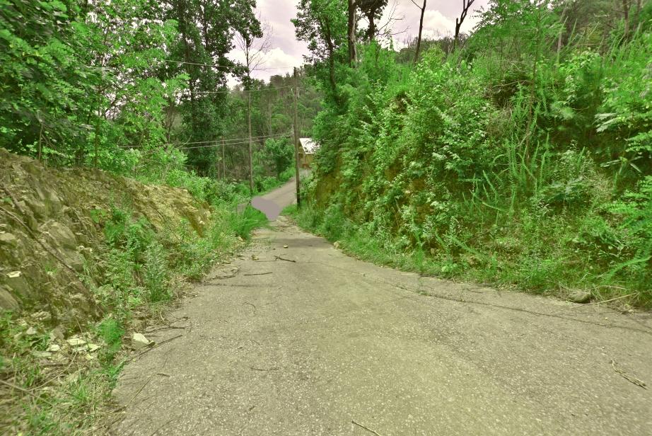 818 Crooked Ridge Road Gatlinburg, TN 37738 - Photo 14 of 16 N