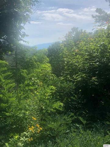 818 Crooked Ridge Road Gatlinburg, TN 37738 - Photo 16 of 16 223206-15