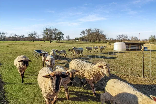a view of a swimming pool