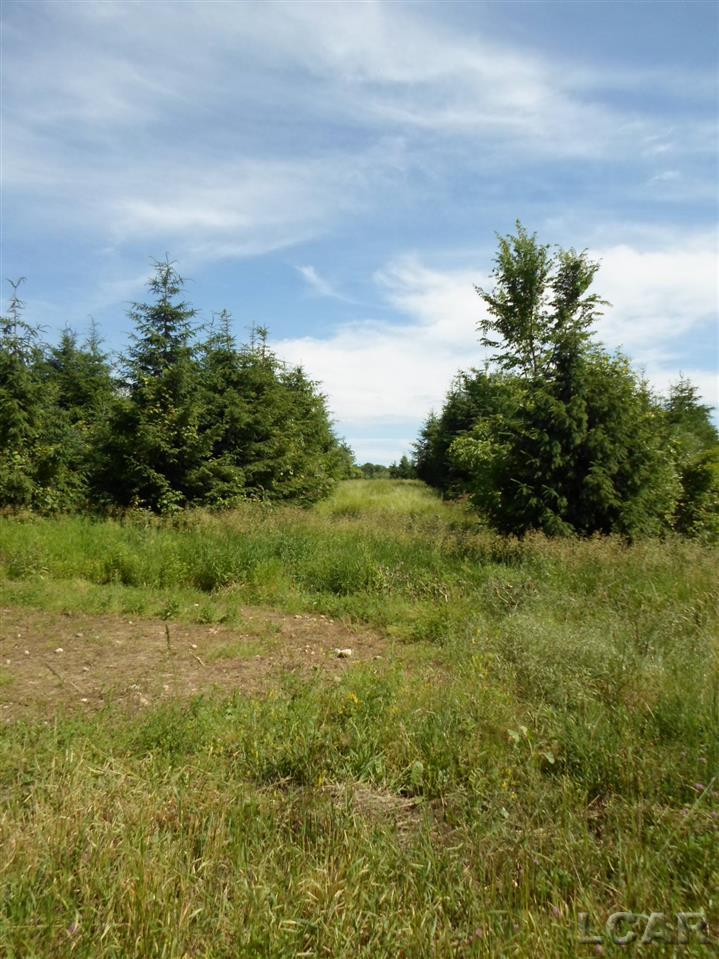 12000 Stephenson Road, Unit PARCEL B Brooklyn, MI 49230 - Photo 8 of 26