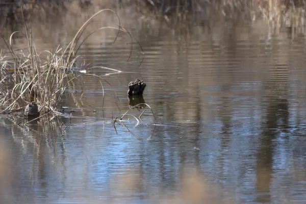 $375,000 | Cr J Memphis Tx 79245, Memphis, TX 79245